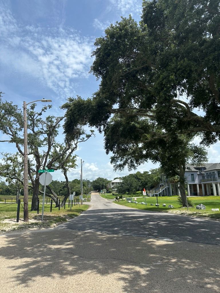 6B974BD5-335D-49FD-9DFA-DC9E681FCF25_1_105_c